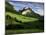 Countryside Near Villard De Lans, Parc Naturel Regional Du Vercors, Drome, Rhone Alpes, France-Michael Busselle-Mounted Photographic Print