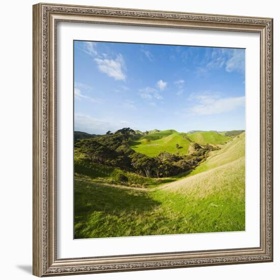 Countryside on the Walk to Wharariki Beach-Matthew Williams-Ellis-Framed Photographic Print