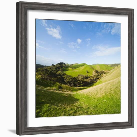 Countryside on the Walk to Wharariki Beach-Matthew Williams-Ellis-Framed Photographic Print