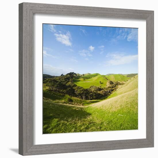 Countryside on the Walk to Wharariki Beach-Matthew Williams-Ellis-Framed Photographic Print