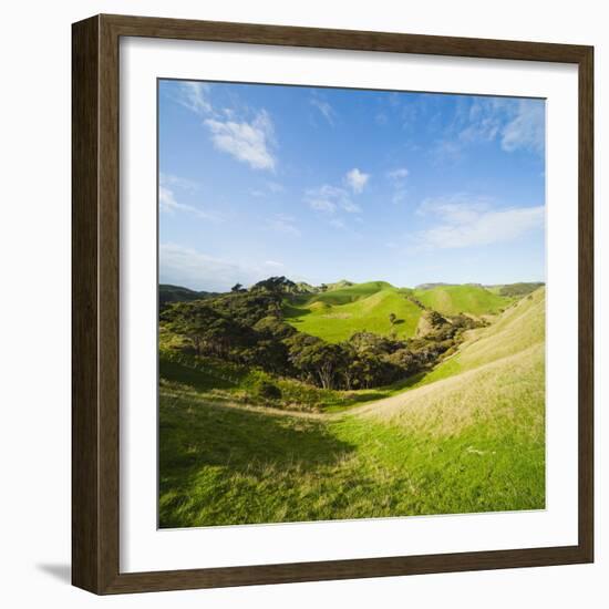 Countryside on the Walk to Wharariki Beach-Matthew Williams-Ellis-Framed Photographic Print