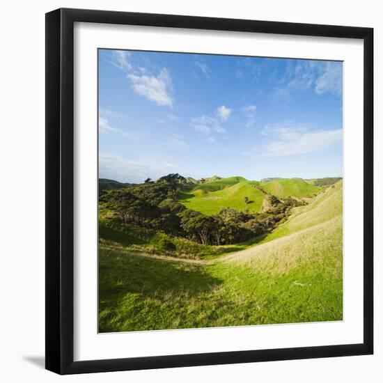 Countryside on the Walk to Wharariki Beach-Matthew Williams-Ellis-Framed Photographic Print