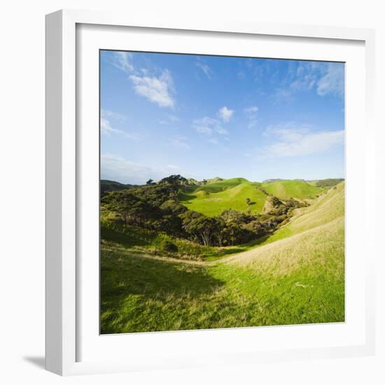 Countryside on the Walk to Wharariki Beach-Matthew Williams-Ellis-Framed Photographic Print