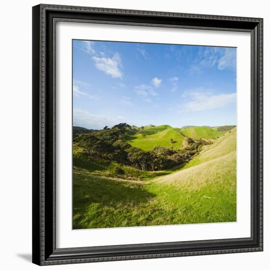 Countryside on the Walk to Wharariki Beach-Matthew Williams-Ellis-Framed Photographic Print