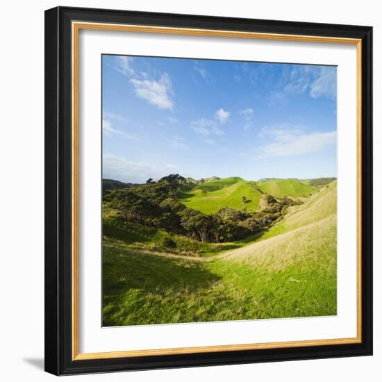 Countryside on the Walk to Wharariki Beach-Matthew Williams-Ellis-Framed Photographic Print