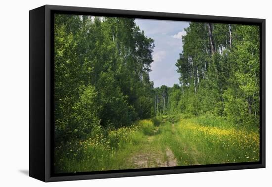 Countryside Road-duallogic-Framed Premier Image Canvas