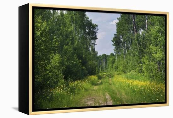 Countryside Road-duallogic-Framed Premier Image Canvas