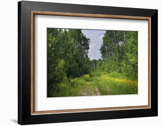 Countryside Road-duallogic-Framed Photographic Print