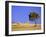 Countryside, Sardinia, Italy, Europe-John Miller-Framed Photographic Print