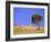 Countryside, Sardinia, Italy, Europe-John Miller-Framed Photographic Print