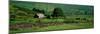 Countryside Scene Connemara County Galway Ireland-null-Mounted Photographic Print