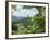 Countryside, West Virginia, USA-Ethel Davies-Framed Photographic Print