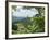 Countryside, West Virginia, USA-Ethel Davies-Framed Photographic Print