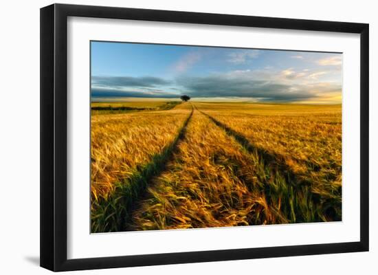 Countryside-Piotr Krol (Bax)-Framed Art Print