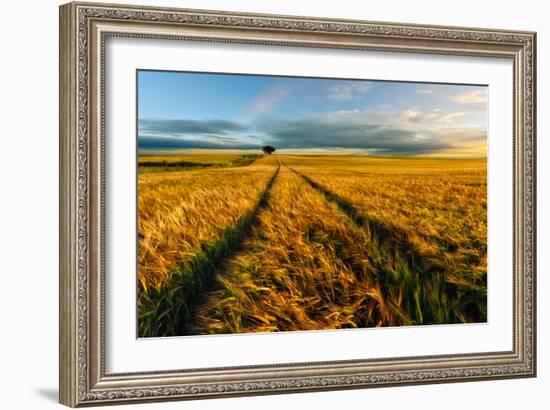 Countryside-Piotr Krol (Bax)-Framed Art Print