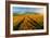 Countryside-Piotr Krol (Bax)-Framed Art Print