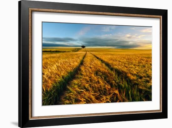 Countryside-Piotr Krol (Bax)-Framed Art Print