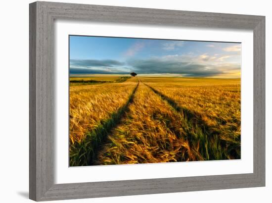 Countryside-Piotr Krol (Bax)-Framed Art Print