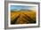 Countryside-Piotr Krol (Bax)-Framed Art Print