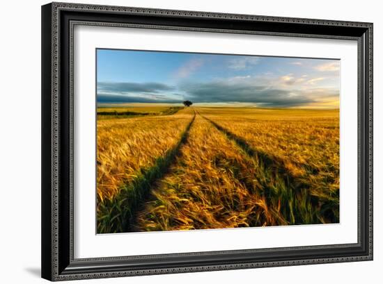 Countryside-Piotr Krol (Bax)-Framed Art Print