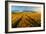 Countryside-Piotr Krol (Bax)-Framed Art Print