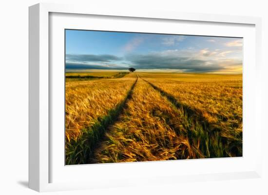 Countryside-Piotr Krol (Bax)-Framed Art Print