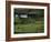 County Clare, Munster, Republic of Ireland (Eire)-Adam Woolfitt-Framed Photographic Print