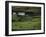 County Clare, Munster, Republic of Ireland (Eire)-Adam Woolfitt-Framed Photographic Print