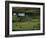 County Clare, Munster, Republic of Ireland (Eire)-Adam Woolfitt-Framed Photographic Print