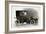 Coupe Automobile with Driver's Seat Uncovered, 1911, 20th Century-null-Framed Giclee Print