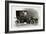 Coupe Automobile with Driver's Seat Uncovered, 1911, 20th Century-null-Framed Giclee Print