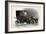 Coupe Automobile with Driver's Seat Uncovered, 1911, 20th Century-null-Framed Giclee Print