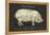 Coupe Du Porc-Tina Carlson-Framed Stretched Canvas