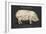 Coupe Du Porc-Tina Carlson-Framed Art Print