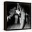 Couple Dancing at Savoy Ballroom, Harlem, 1947-null-Framed Stretched Canvas