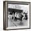 Couple Dancing to Bill Gregory's Band. August 1958-Staff-Framed Photographic Print