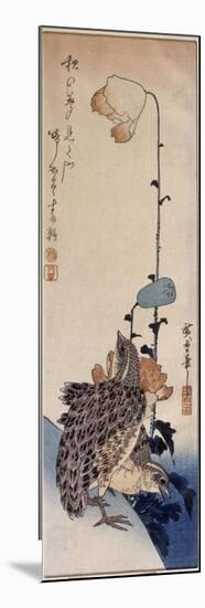 Couple de cailles et coquelicots-Ando Hiroshige-Mounted Giclee Print