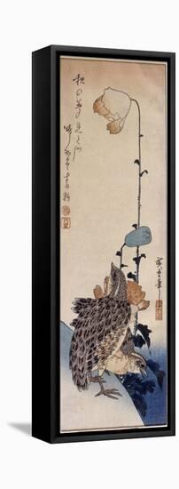 Couple de cailles et coquelicots-Ando Hiroshige-Framed Premier Image Canvas