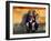 Couple Dressed in Masks and Costumes Taking Part in Venice Carnival, Venice, Veneto, Italy-Lee Frost-Framed Photographic Print