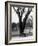 Couple Embracing in a Passionate Moment on the Bench in Hyde Park-Cornell Capa-Framed Photographic Print