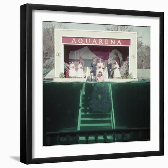 Couple Getting Married Underwater at Aquarena-John Dominis-Framed Photographic Print