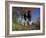 Couple Hiking During Autumn-null-Framed Photographic Print