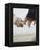Couple Holding Hands-null-Framed Premier Image Canvas