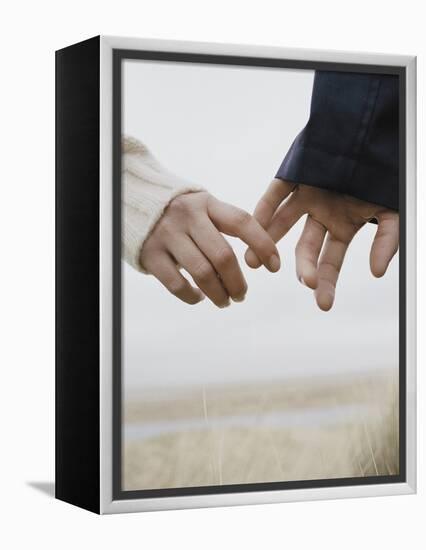 Couple Holding Hands-null-Framed Premier Image Canvas
