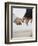 Couple Holding Hands-null-Framed Photographic Print