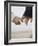 Couple Holding Hands-null-Framed Photographic Print