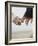Couple Holding Hands-null-Framed Photographic Print