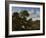 Couple in a Landscape-Adriaen van de Velde-Framed Art Print