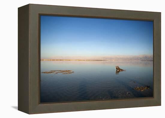 Couple in Healing Mud, Dead Sea, Israel-David Noyes-Framed Premier Image Canvas