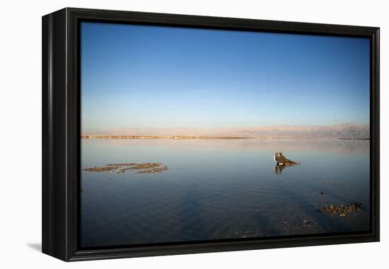 Couple in Healing Mud, Dead Sea, Israel-David Noyes-Framed Premier Image Canvas